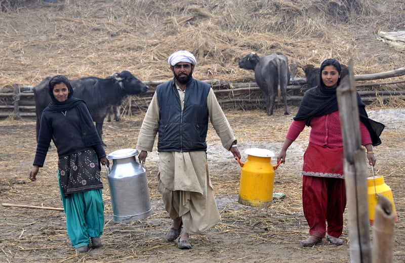 Milk Producer pays for all