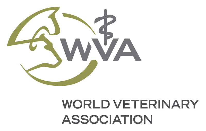 2011: World Veterinary Year