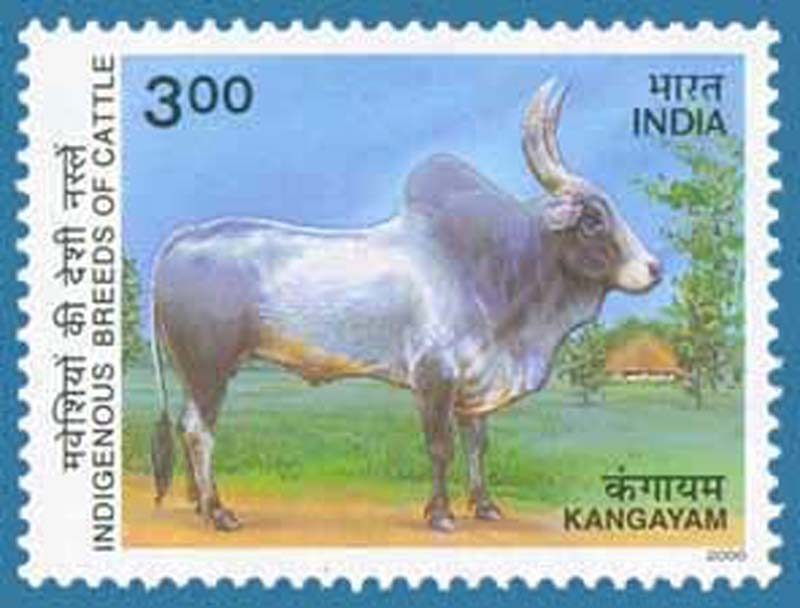 All India Report: 19th Livestock Census