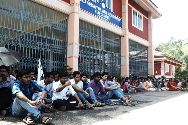 Kerala Veterinary and Animal Sciences University Act Ordinance