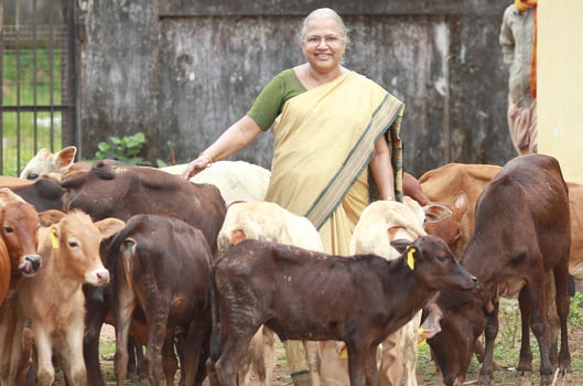 Cattle Breeding Policy 1998: Kerala State