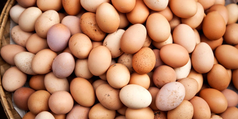 Politics of nutrition: An egg story from Madhya pradesh