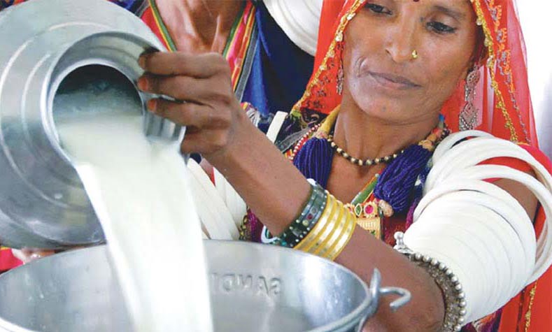 How (India) National Dairy Plan works